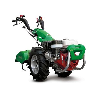 Hoofdafbeelding van Tuinfrees