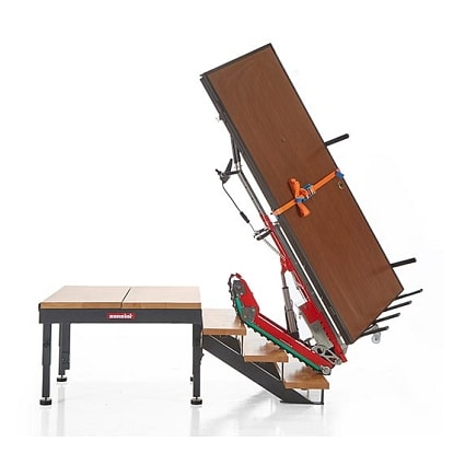 Zonzini traploper op trap.jpg