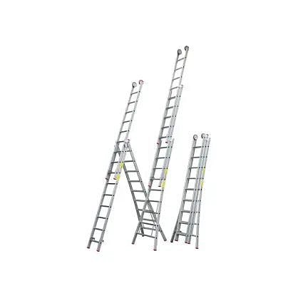 Reform ladders Cat.jpg